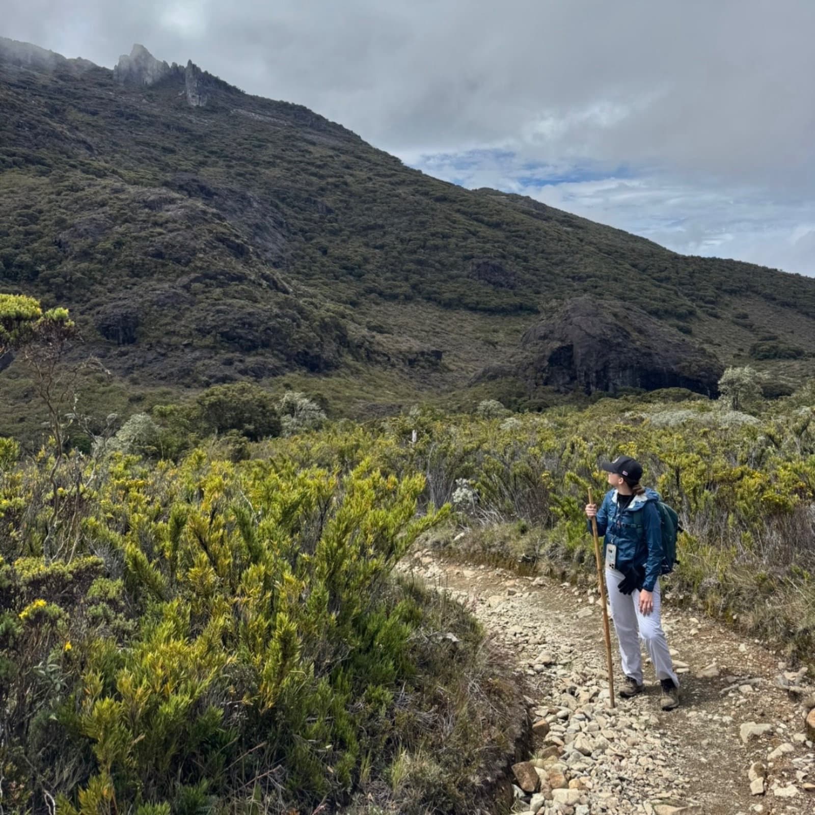 Cerro Chirripó 2