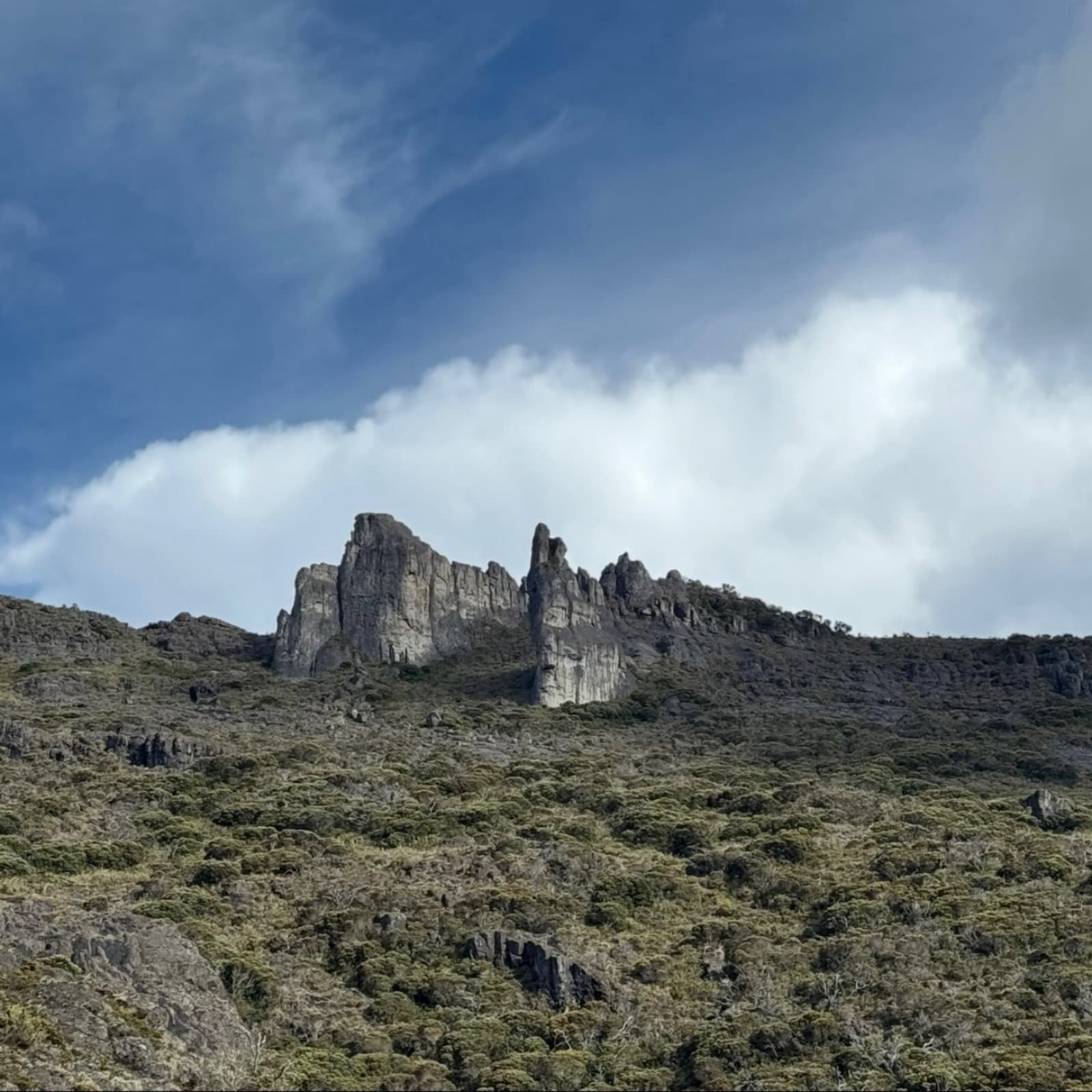 Cerro Chirripó 3