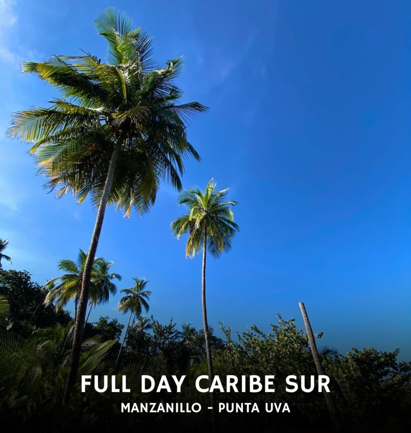 Full Day Caribe Sur