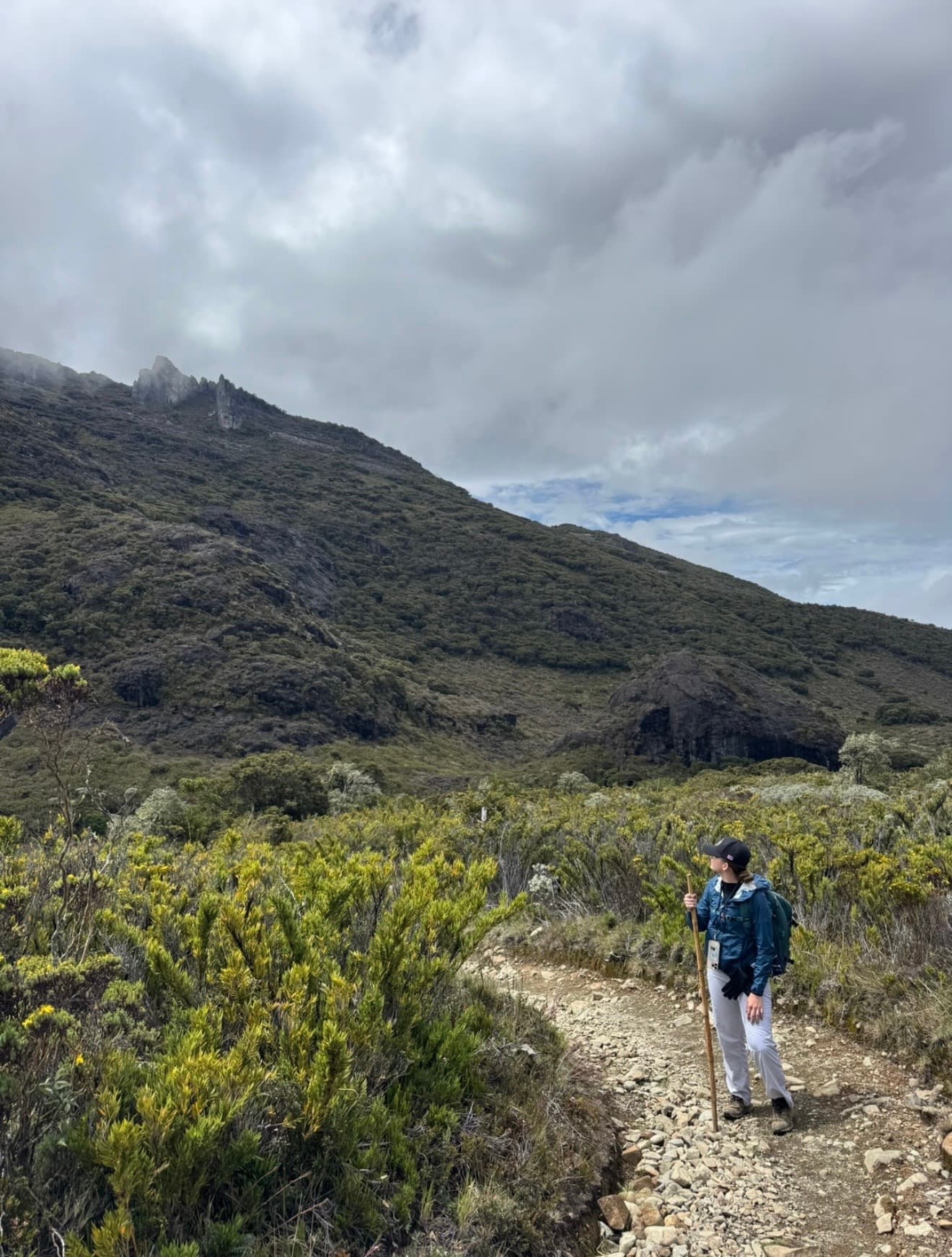Cerro Chirripó